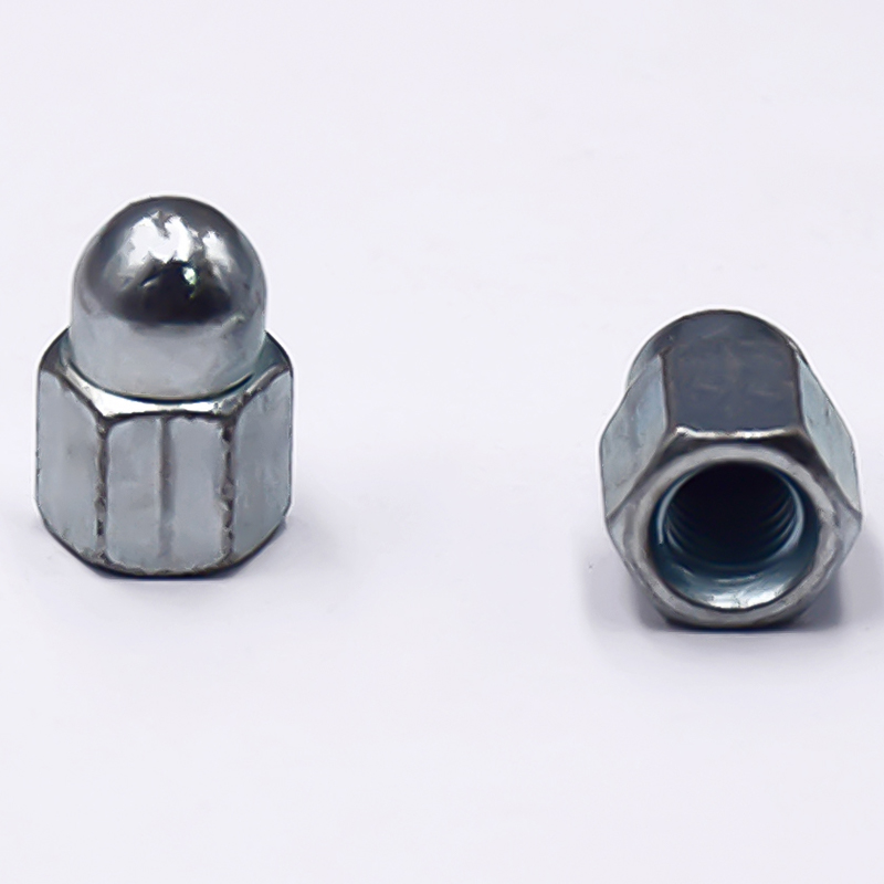 Hexagon Socket Cap Nut With Block Shot