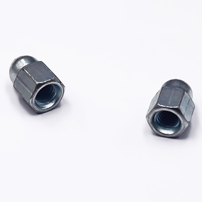 Hexagon Socket Cap Nut With Block Shot