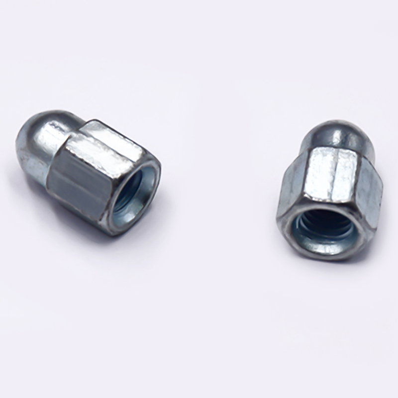 Hexagon Socket Cap Nut With Block Shot