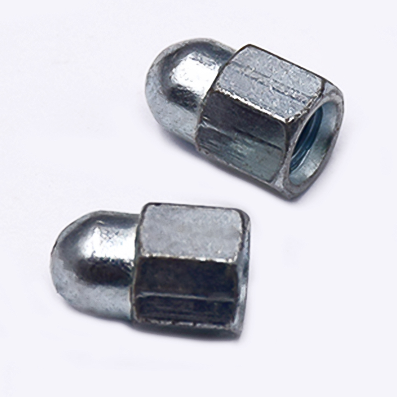 Hexagon Socket Cap Nut With Block Shot