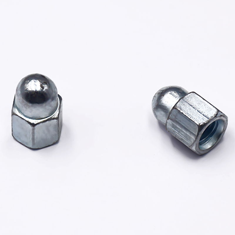 Hexagon Socket Cap Nut With Block Shot