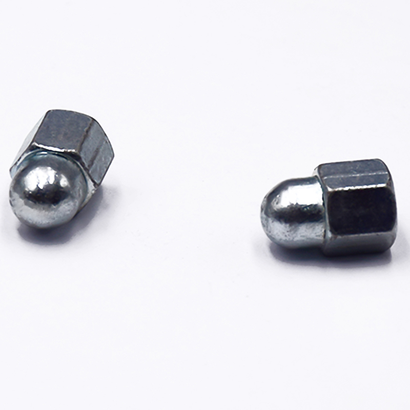 Hexagon Socket Cap Nut With Block Shot