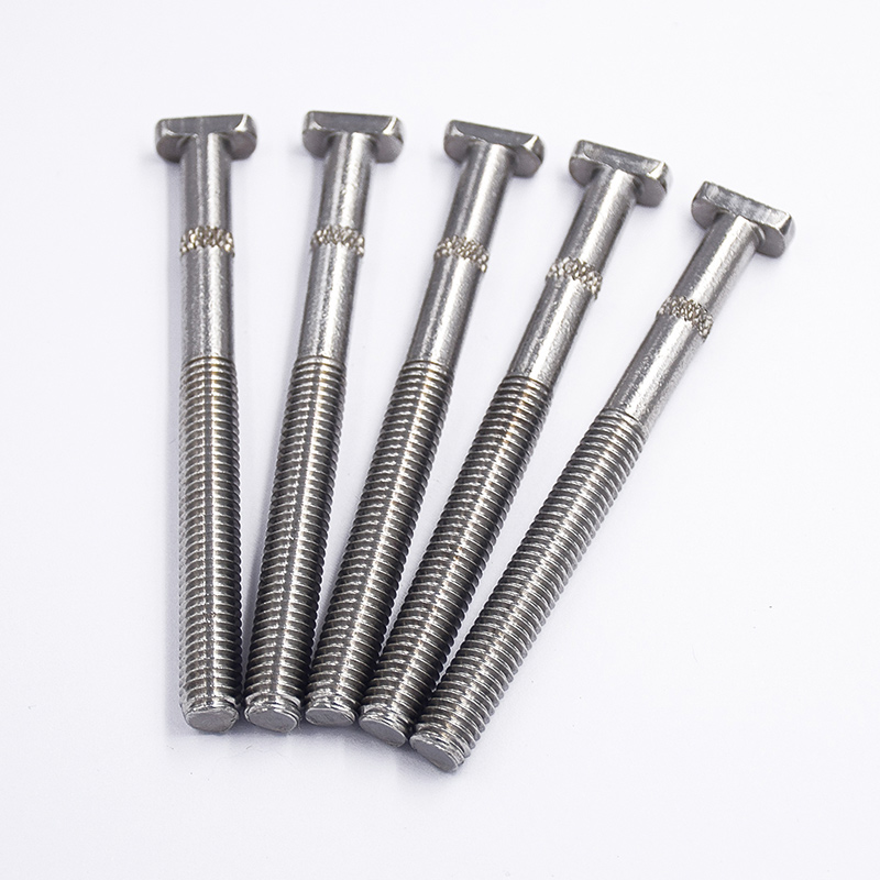 304 Corrosion Resistant Stainless Steel T-Shaped Screws