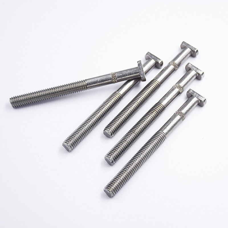 304 Corrosion Resistant Stainless Steel T-Shaped Screws