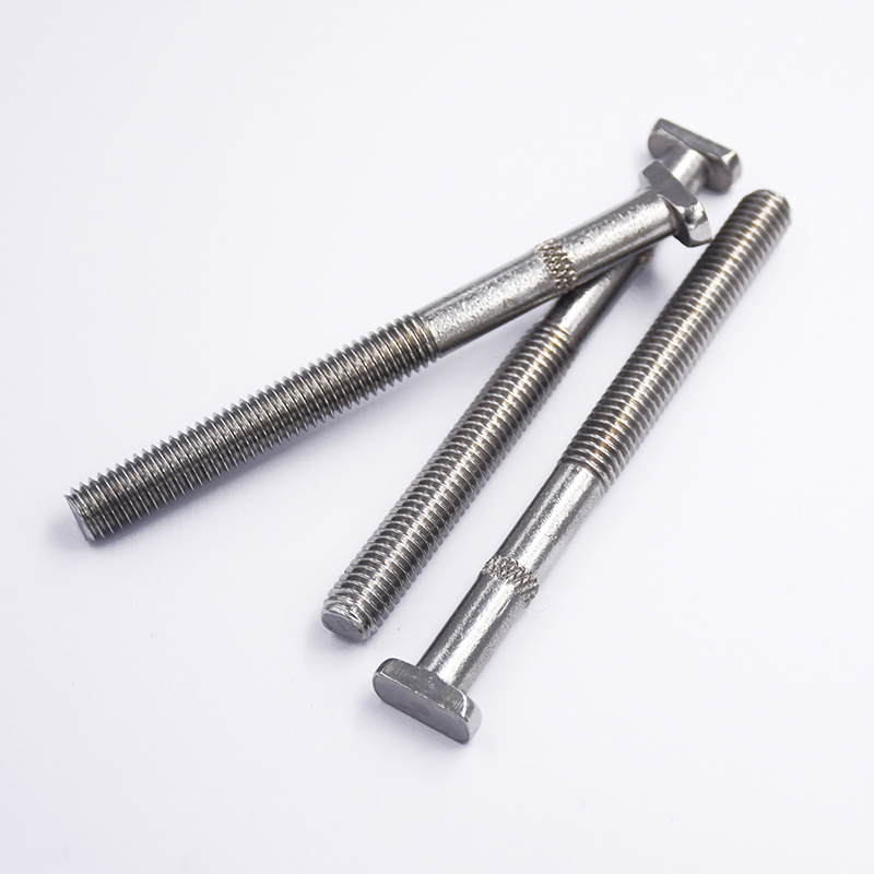 304 Corrosion Resistant Stainless Steel T-Shaped Screws