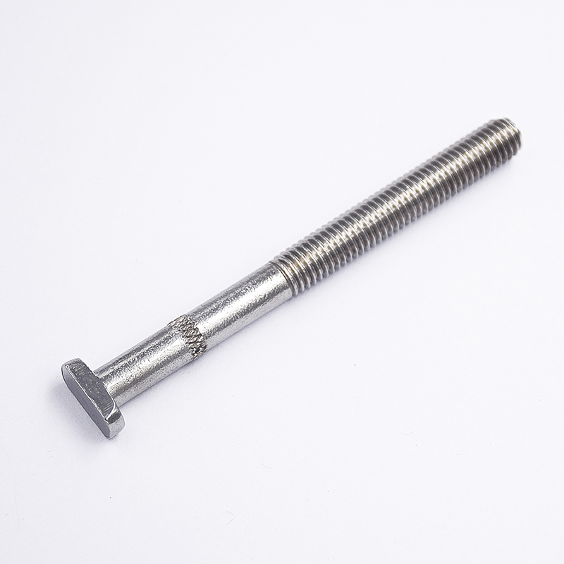 304 Corrosion Resistant Stainless Steel T-Shaped Screws
