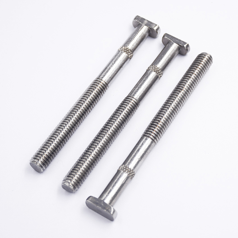 304 Corrosion Resistant Stainless Steel T-Shaped Screws