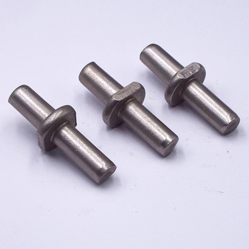 Stainless Steel T-Shaped Double-Section Locating Pins