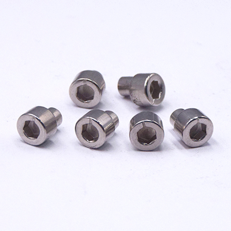 Stainless Steel Cylindrical Head Hexagon Socket Step Eccentric Pin