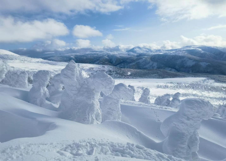 Electric heat tracing band application in snowy areas