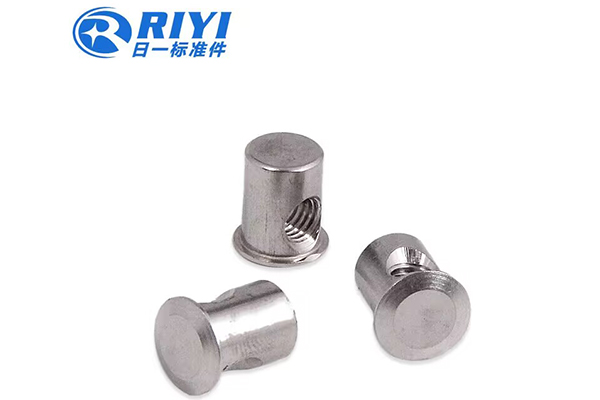 Wenzhou Riyi: A Leading Force in the Global Fastener Industry​