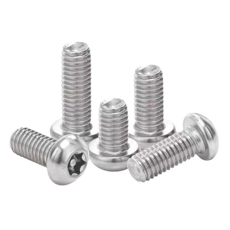 Corrosion Resistant Stainless Steel Torx Tamper-Proof Screws