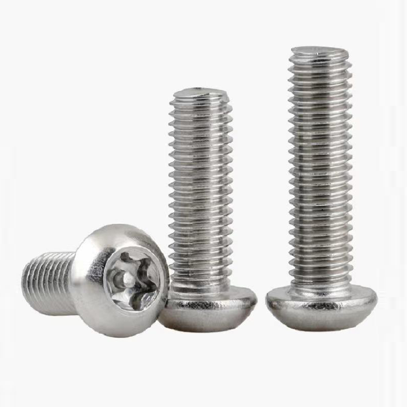 Corrosion Resistant Stainless Steel Torx Tamper-Proof Screws