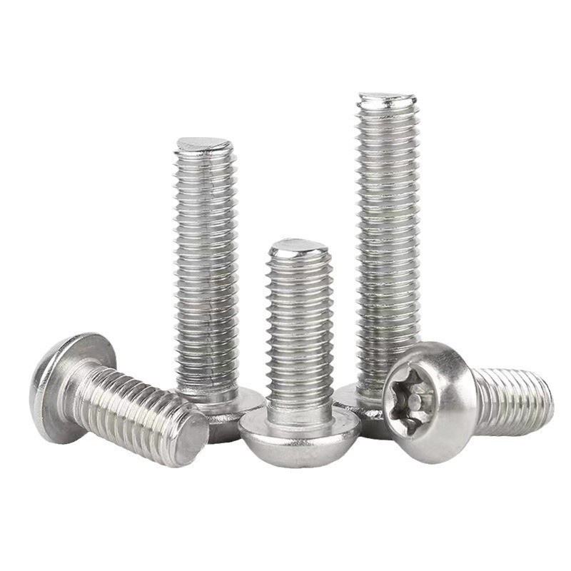 Corrosion Resistant Stainless Steel Torx Tamper-Proof Screws