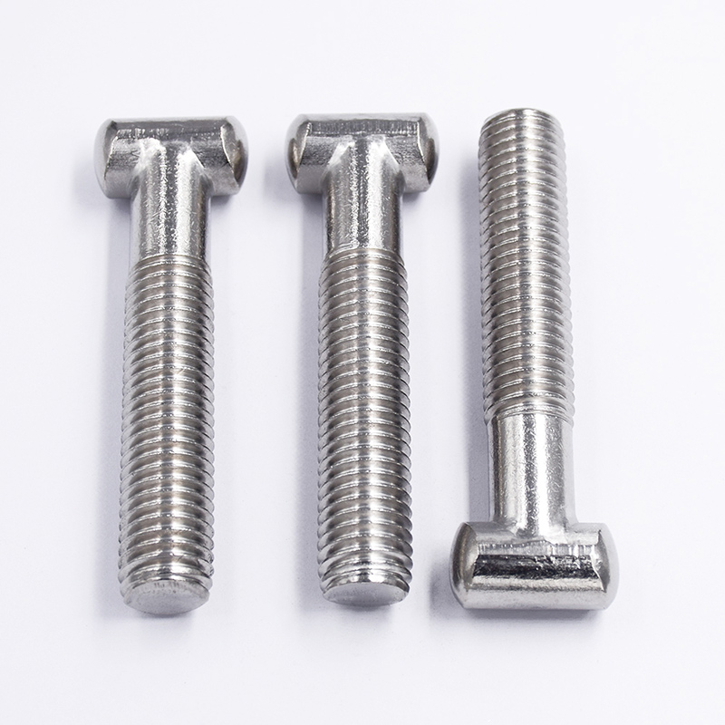 Rust-Resistant 304 Or 316 Stainless Steel T-Screws