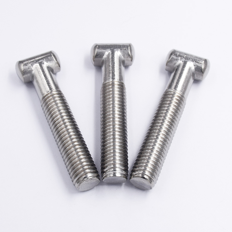 Rust-Resistant 304 Or 316 Stainless Steel T-Screws