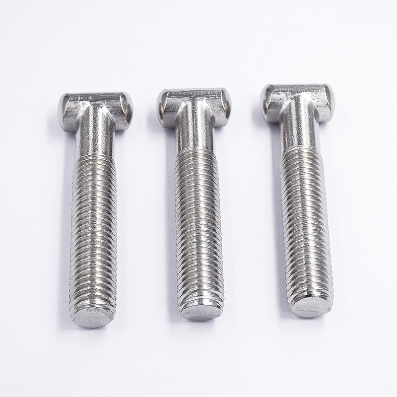 Rust-Resistant 304 Or 316 Stainless Steel T-Screws