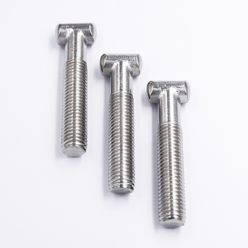 Rust-Resistant 304 Or 316 Stainless Steel T-Screws