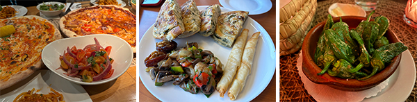 NL13802 Plastic horse toy
