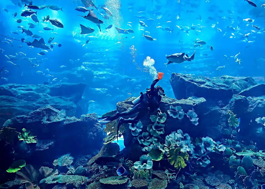 Reliability of electric heat tracing band used in aquarium