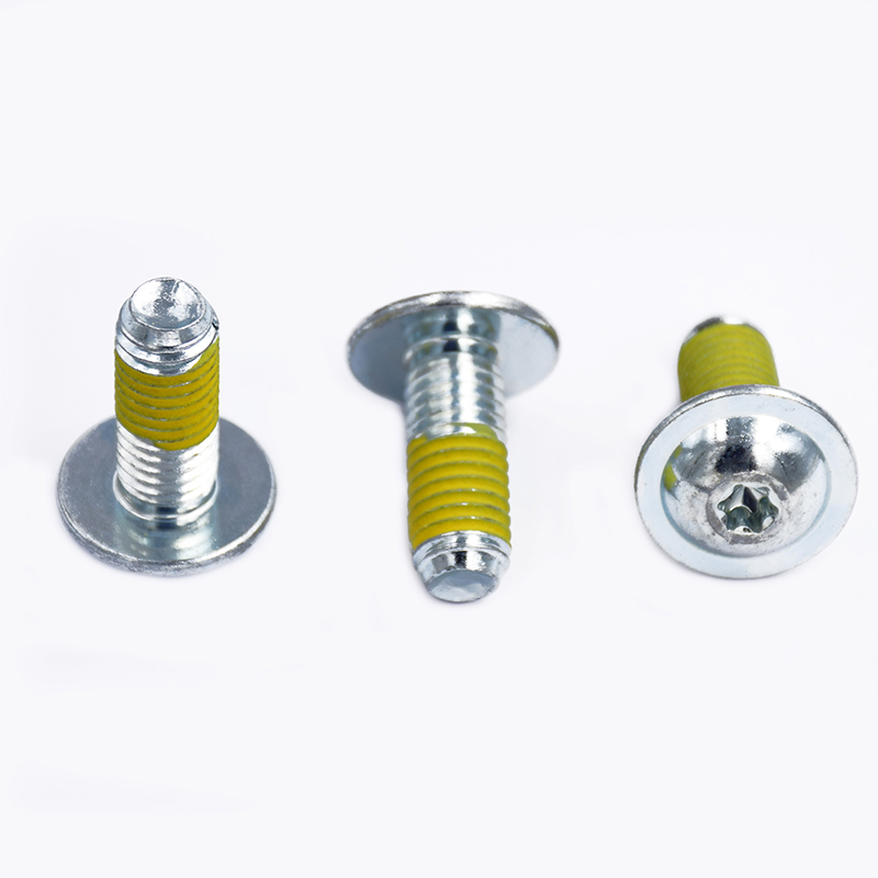Pan Head Inner Torx Non-Standard Screws With Pad And Glue