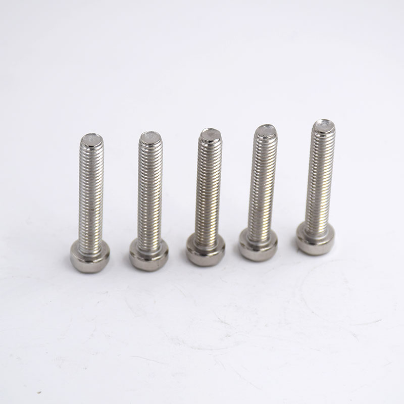 Stainless Steel Internal Heart-Shaped Anti-Theft Screws