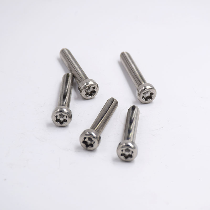 Stainless Steel Internal Heart-Shaped Anti-Theft Screws