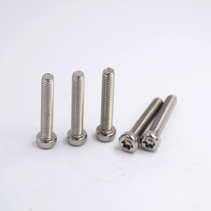 Stainless Steel Internal Heart-Shaped Anti-Theft Screws