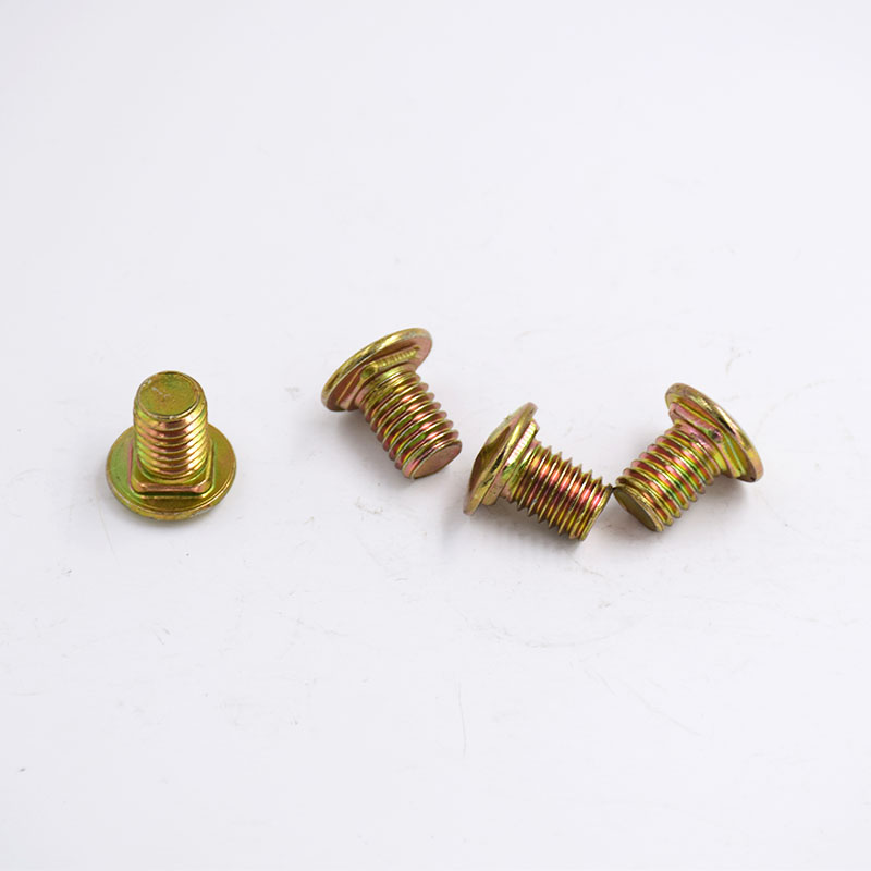 Non-Standard Semi-Round Colored Paint Carriage Screws