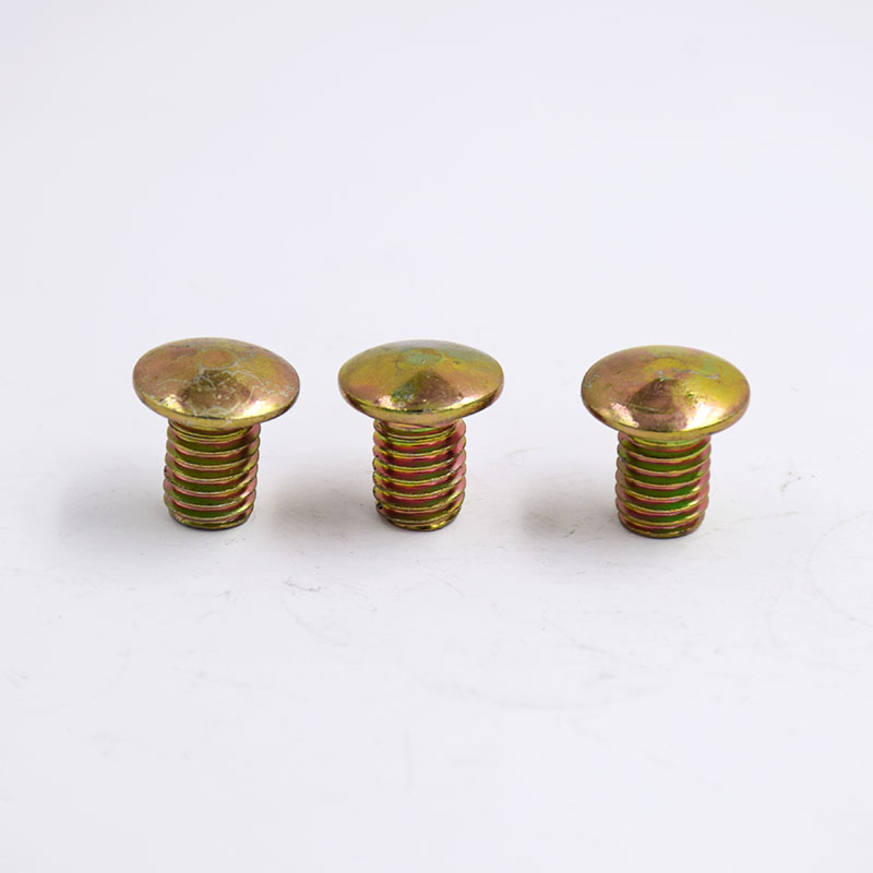 Non-Standard Semi-Round Colored Paint Carriage Screws
