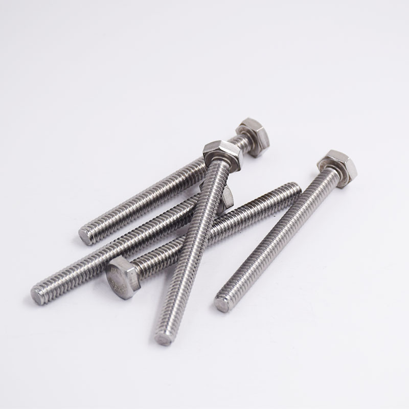 Stainless Steel Full Thread Hexagon Head Screw