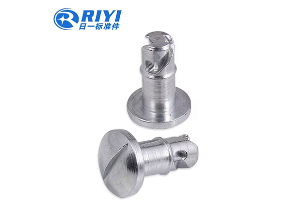 Wenzhou Riyi: Leading Supplier of Cold Heading Non-Standard Parts and Non-Standard Carbon Steel Parts
