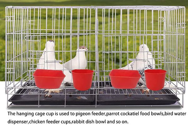 NewlandVet Unveils 2026 Collection of High-Comfort Bird Feeding Systems