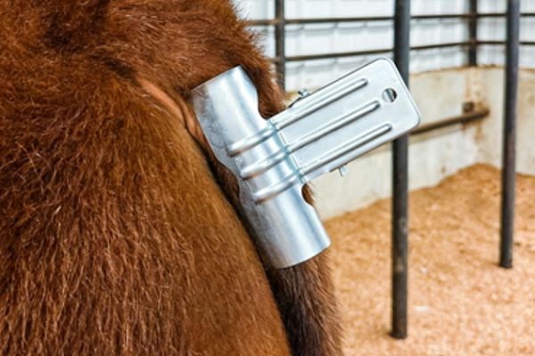 New Arrival Cow Tail Clamp