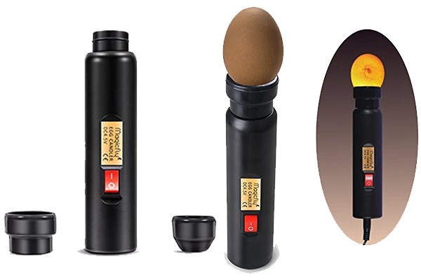 New Release: NL9100 High-Intensity LED Egg Tester Revolutionizes Poultry Egg Candling