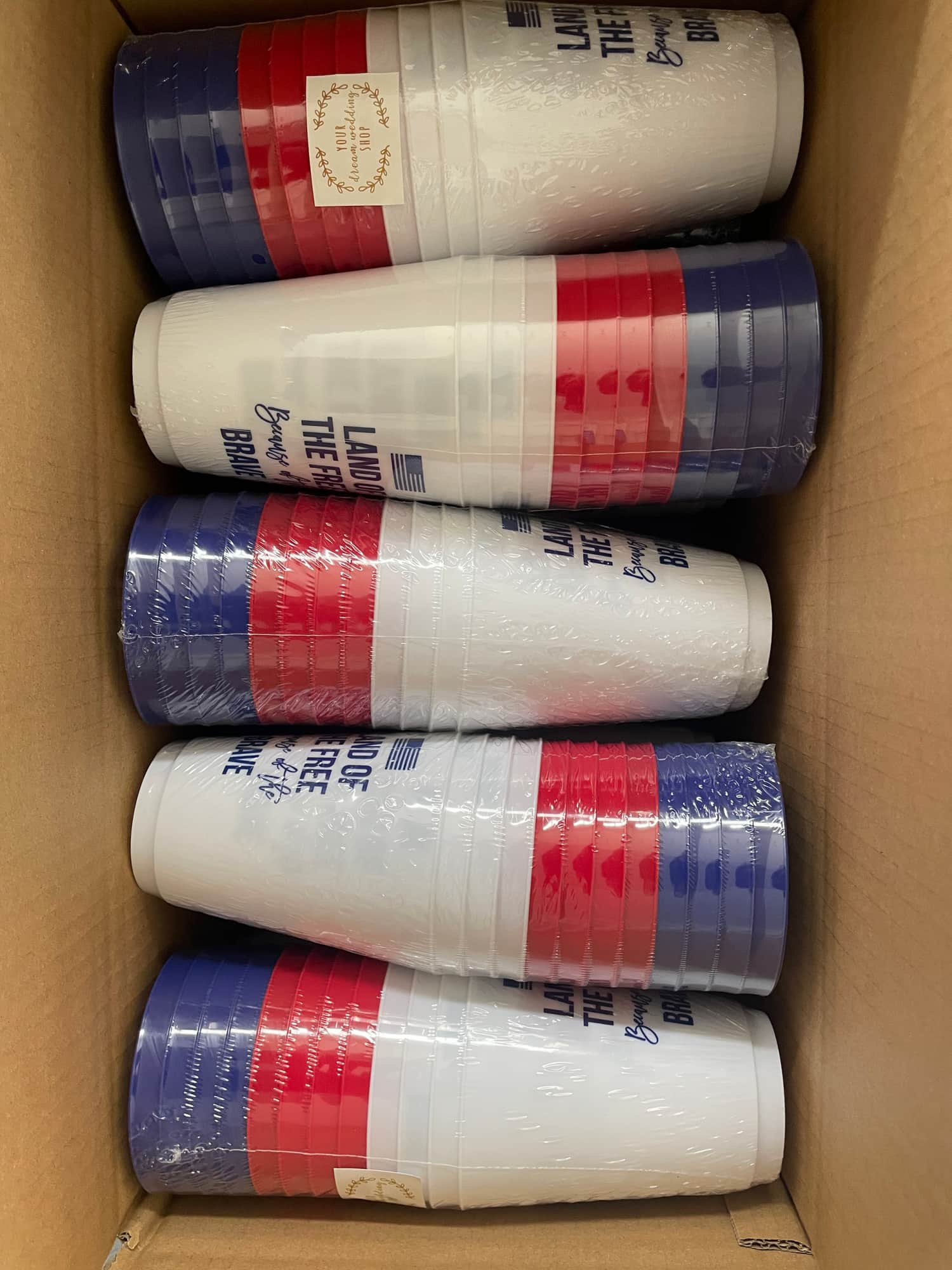 16oz Frosted Plastic Party & Outdoor Cups