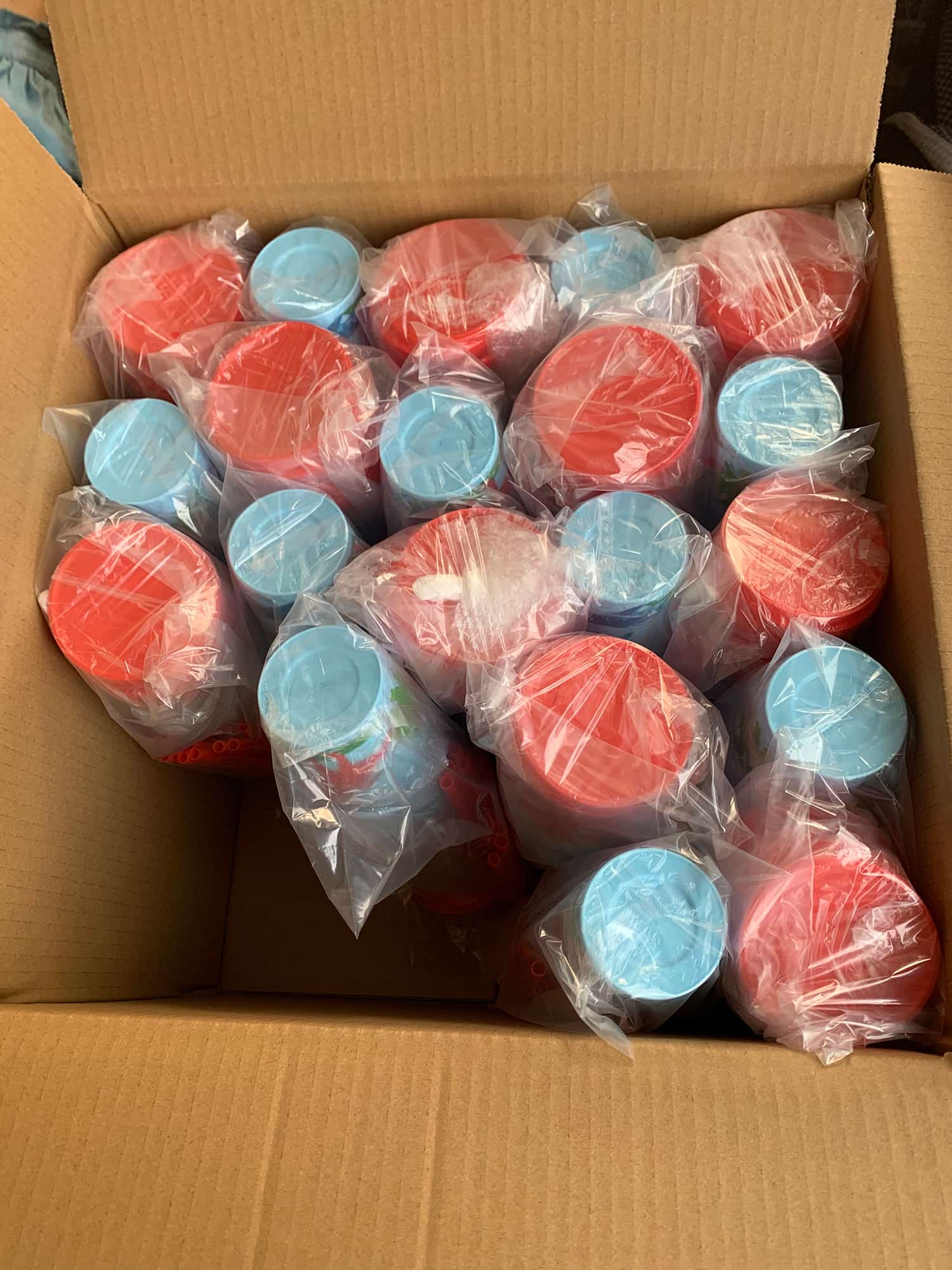 16oz Frosted Plastic Party & Outdoor Cups