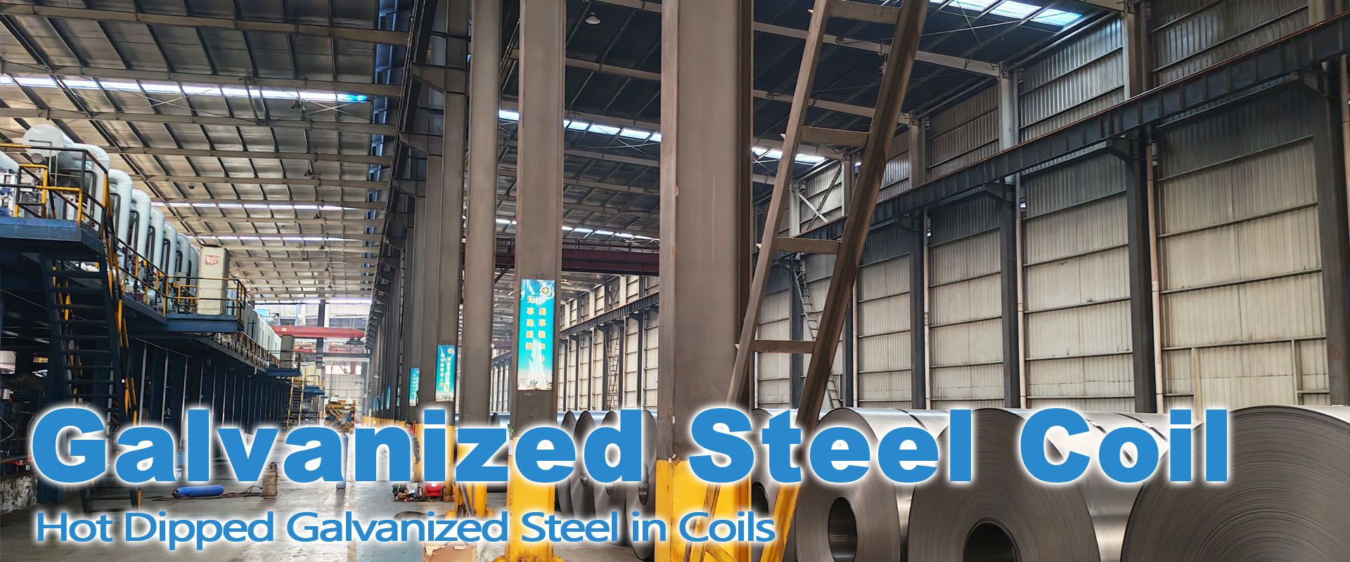 Galvanized Steel Coil