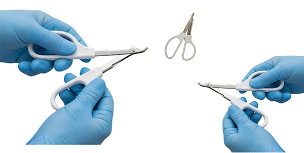 Veterinary Equipments