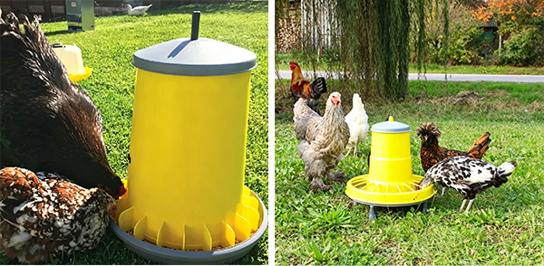 Bowls And Feeders