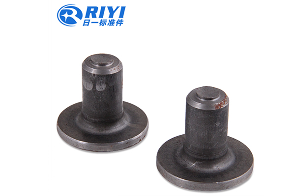 Cold Heading Processing: Reliable Cold Heading Parts from Wenzhou Riyi Standard Parts