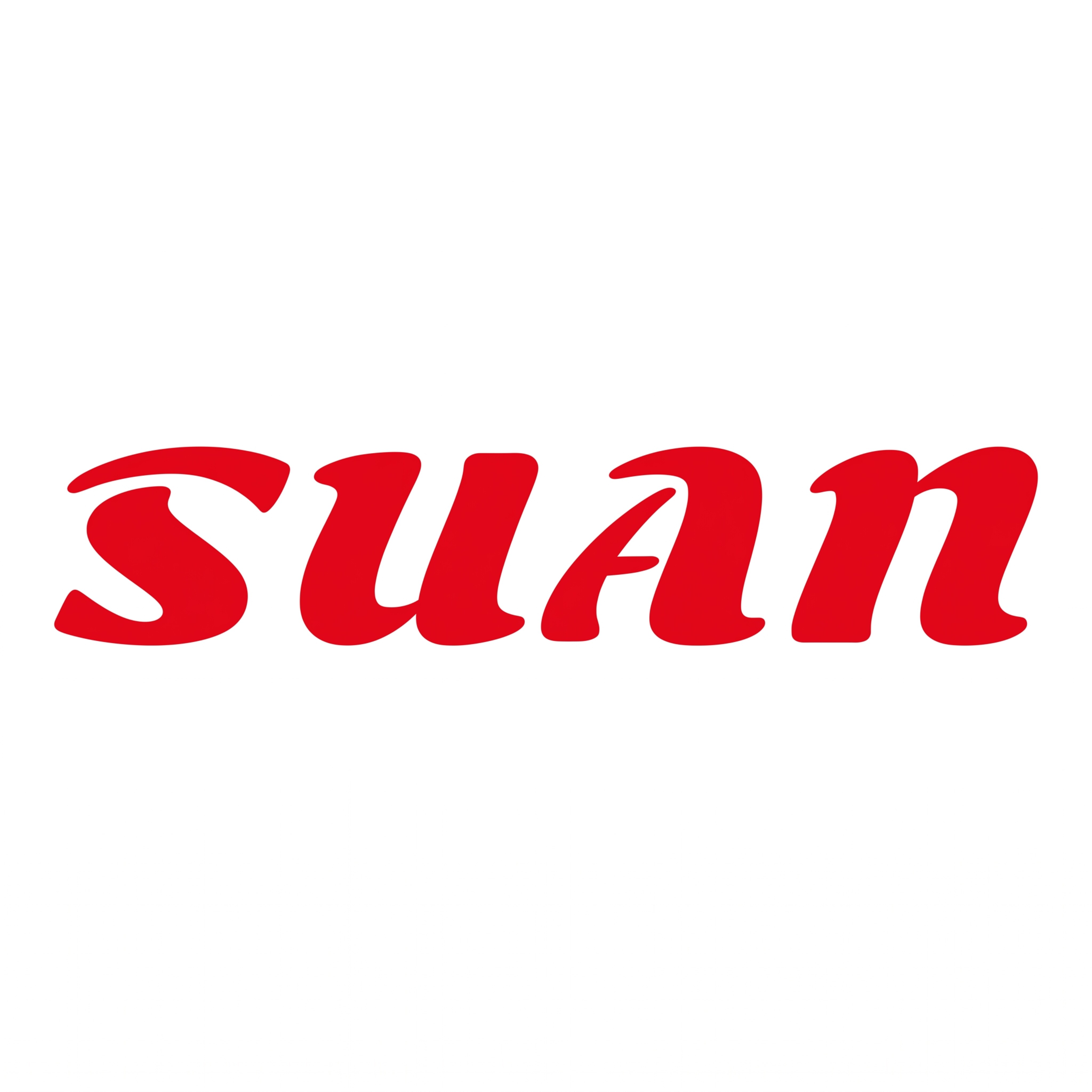 China Suan Houseware factory
