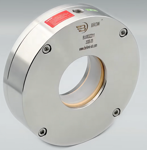 rotary shaft seal