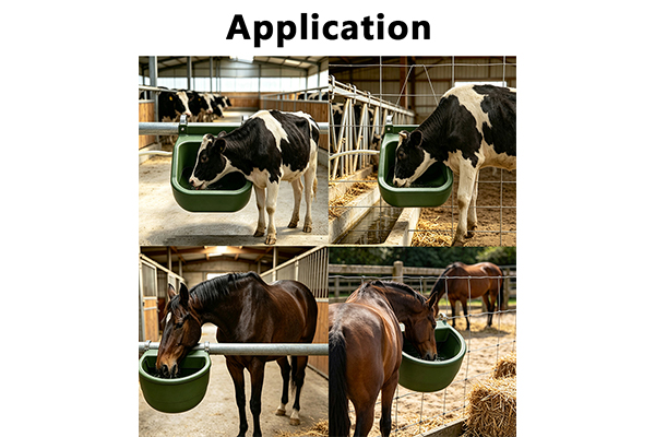 New UV-Coated Automatic Livestock Water Trough Launched for Cattle & Horse Farms